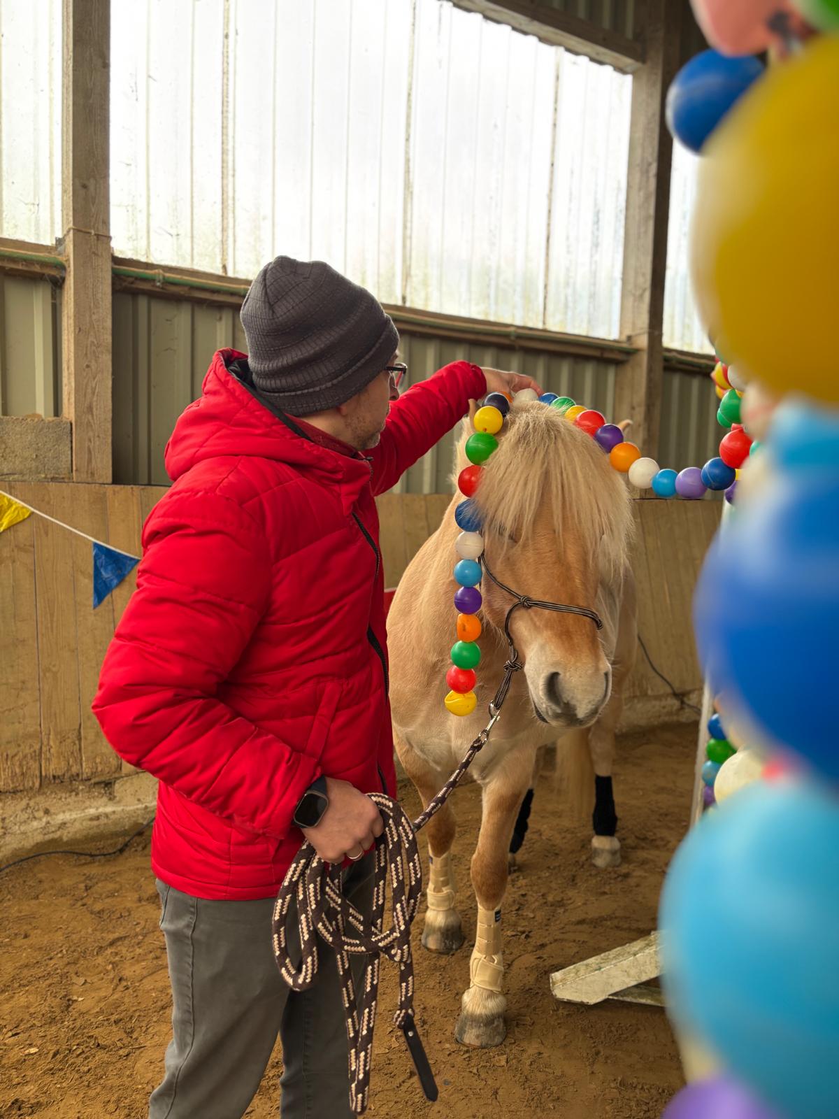 Pferd und Reiter
