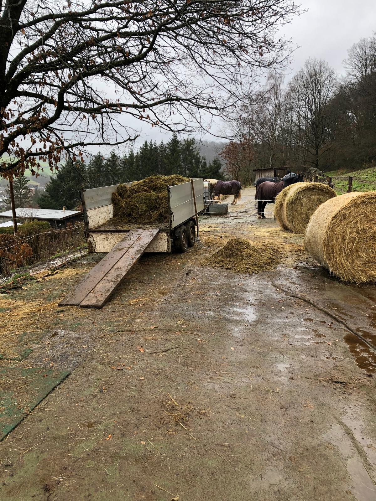 Versorgung mit Herz & Verstand – Reitanlage Giershausen